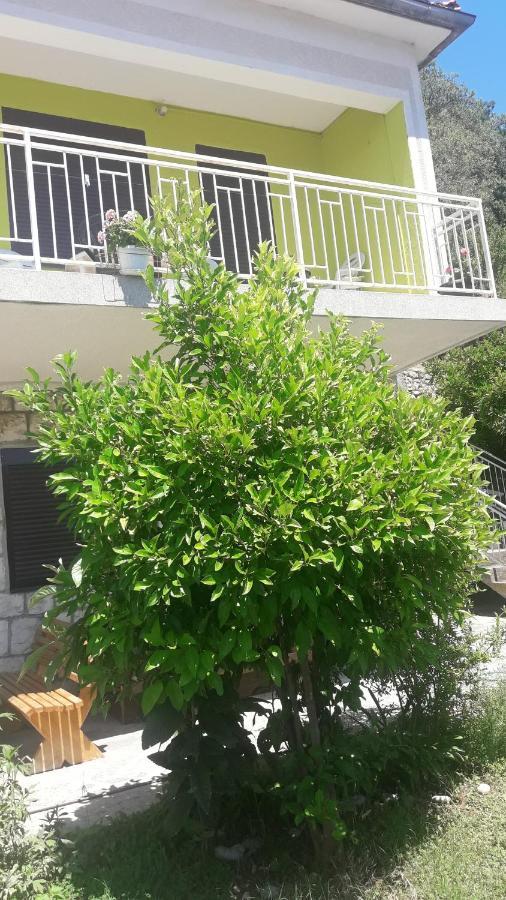 Apartment Dragone Ülgün Dış mekan fotoğraf