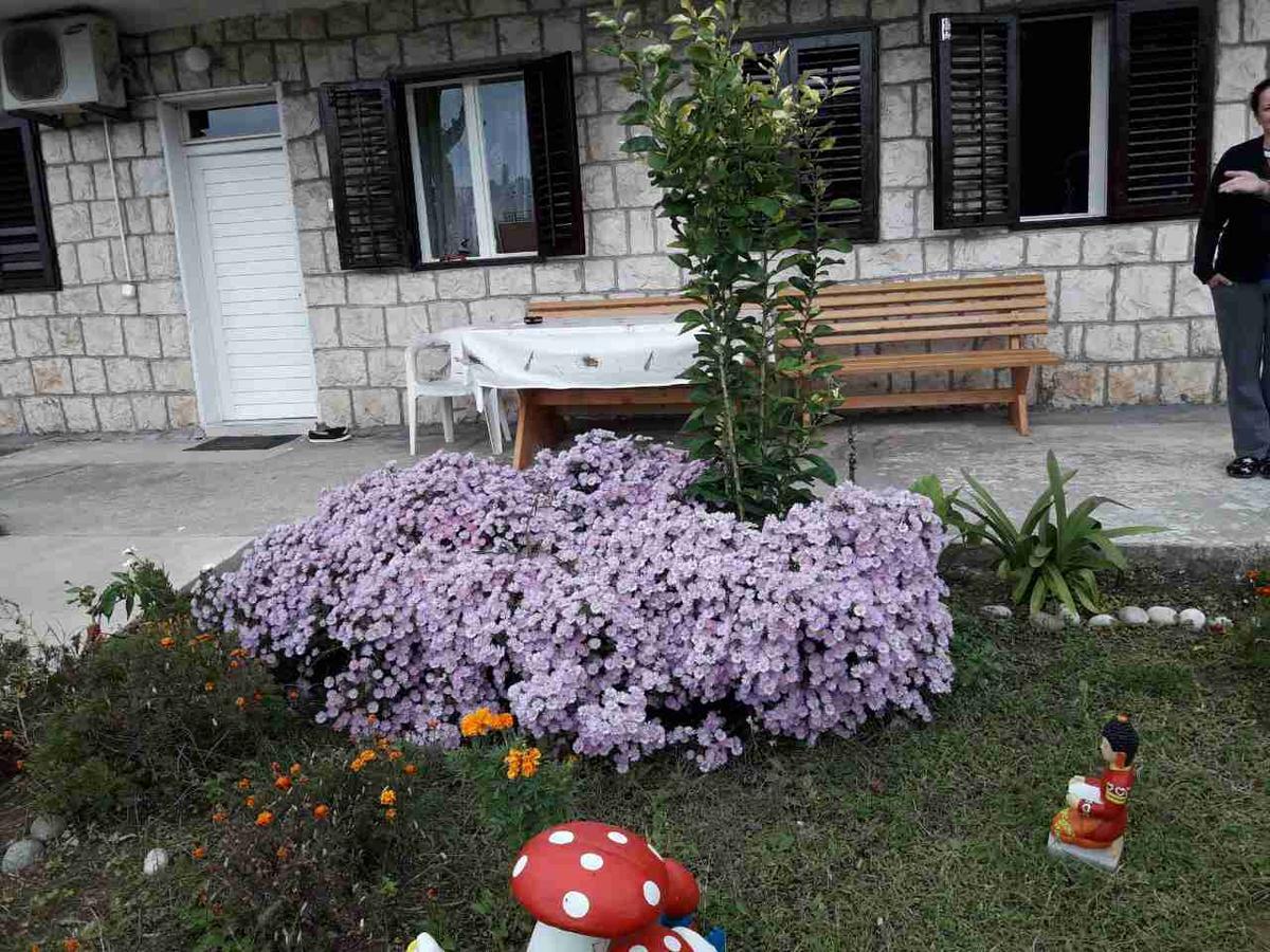Apartment Dragone Ülgün Dış mekan fotoğraf